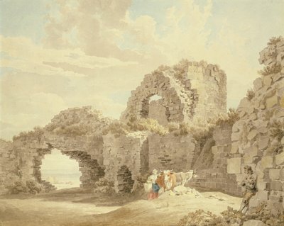 Ruins of Pevensey Castle by Michael Rooker